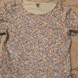 J. Crew Multicolor Sequin Top